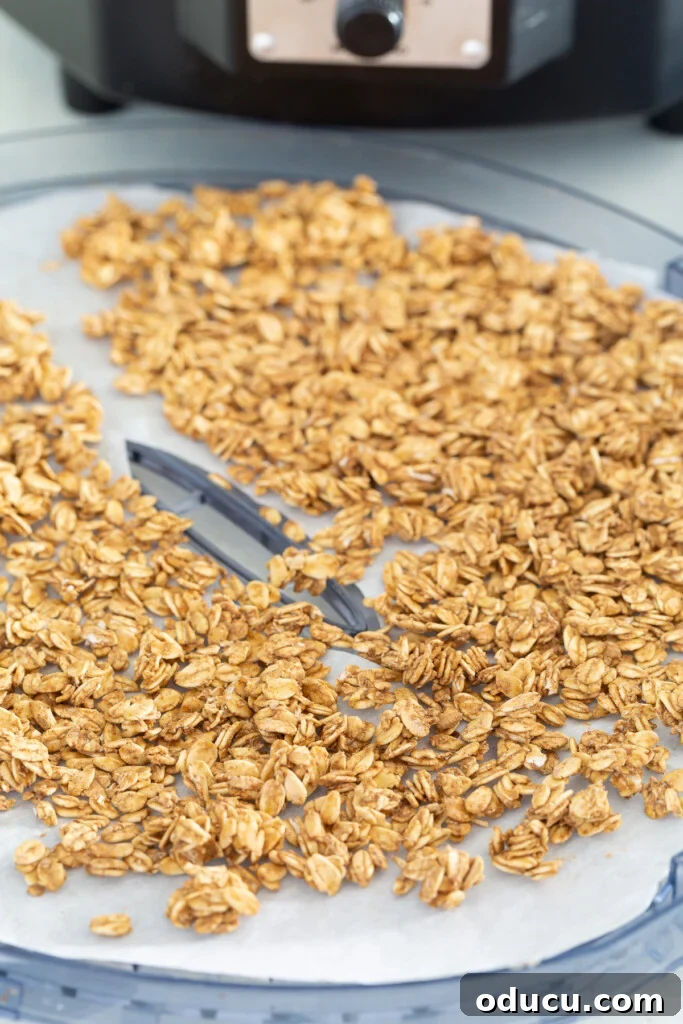 close up of dehydrated Rawnola that is ready to eat.