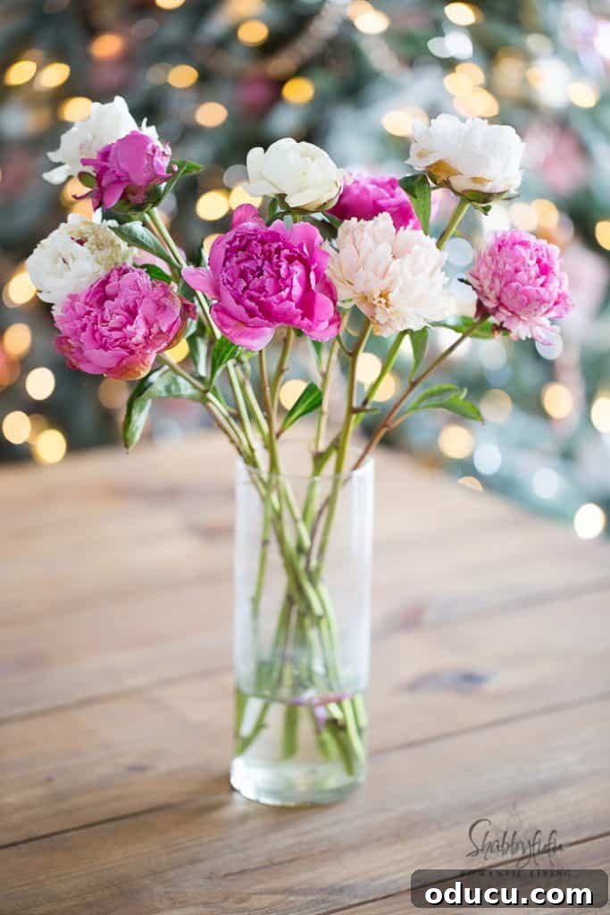Sartorial Insights: Dispatch 95 2 Vibrant pink peonies elegantly arranged in a clear glass vase, symbolizing the beauty of summer blooms.