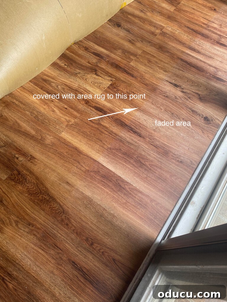 NuCore Flooring: The 6-Year Durability Verdict 9 Area rug pulled back to reveal slight fading on NuCore vinyl flooring due to prolonged sun exposure.