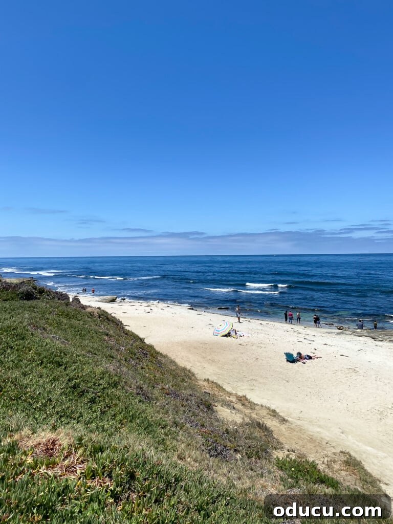 Centennial Style Explorations 3 A breathtaking panoramic view of the Pacific Ocean from the scenic cliffs of La Jolla, California, capturing the essence of coastal tranquility.