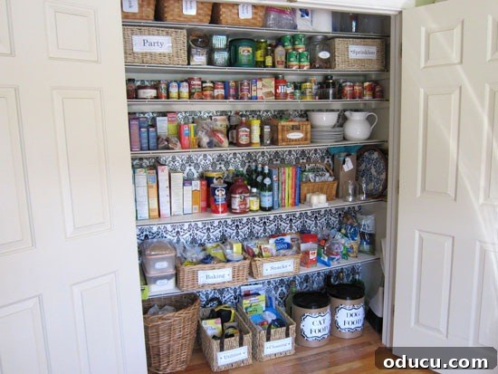 From Coat Closet Chaos to Organized Pantry Perfection 2 How to transform a coat closet into a large pantry