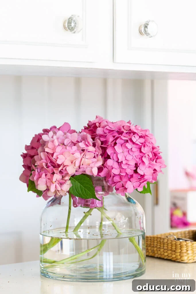 DIY Twisted Paper Ribbon Vase and a Creative Bonus Project 2 Pink hydrangeas on a kitchen counter