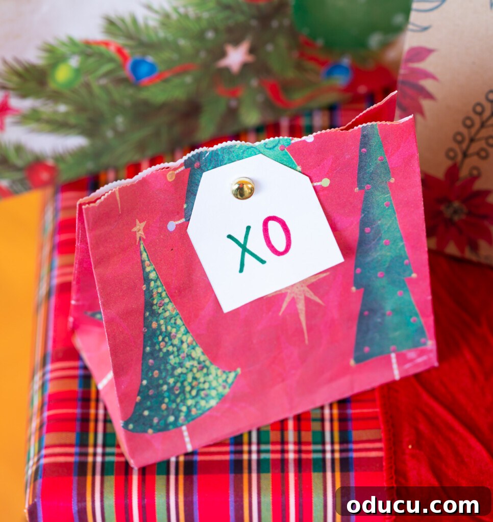 Smart & Stylish Ways to Repurpose Gift Bags for New Gifts 3 Lunch bag style holiday gift bag with an 'XO' tag after trimming the top.