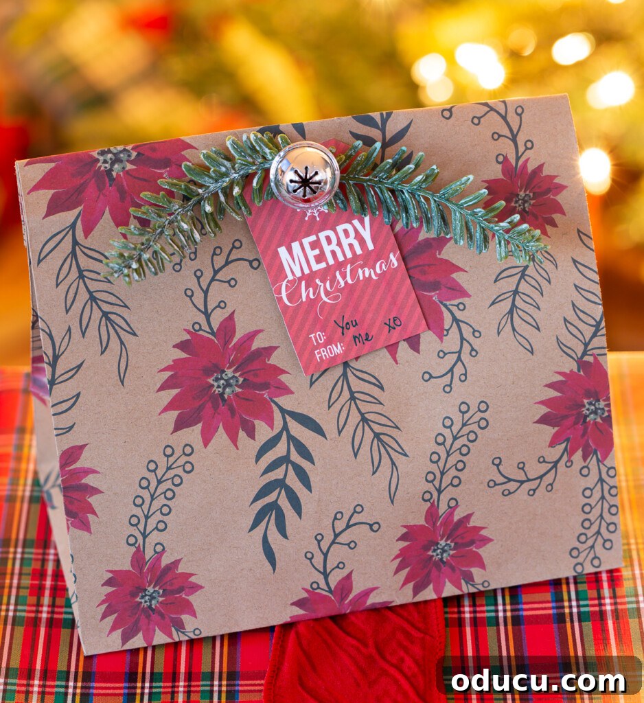 Smart & Stylish Ways to Repurpose Gift Bags for New Gifts 5 How to reuse Christmas gift bags by adding natural embellishments.