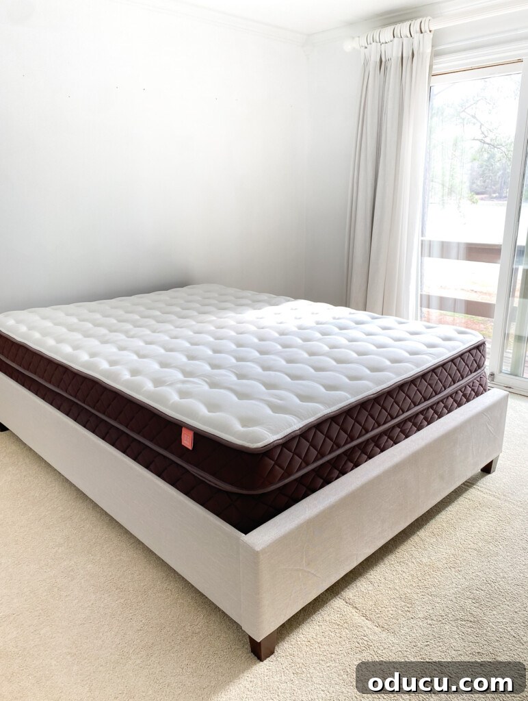 Christeli Charleston Mattress: What You Need to Know 5 Christeli Charleston mattress in an Eastman upholstered frame in empty bedroom