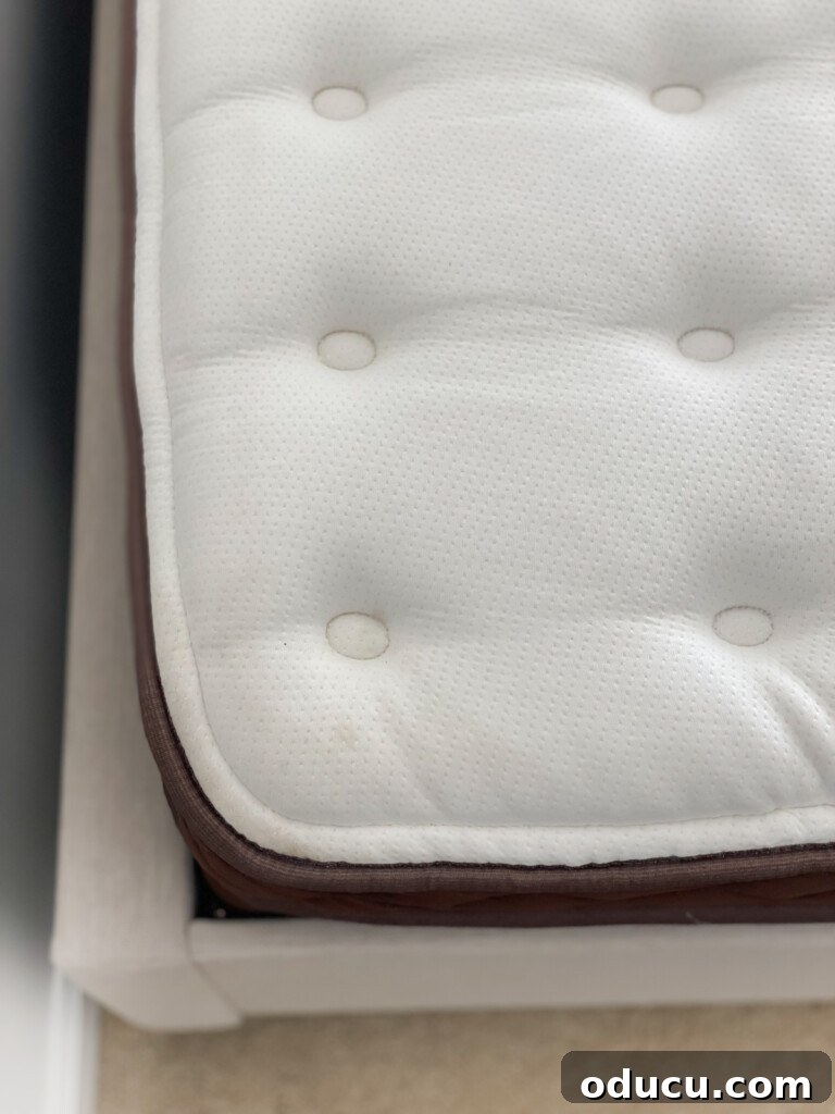 Christeli Charleston Mattress: What You Need to Know 10 looking down on tufted top of a Christeli Charleston mattress
