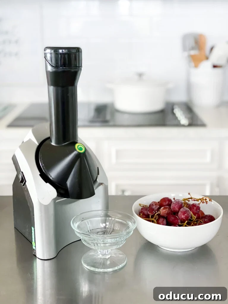 The Friday Connection 7 A Yonanas Frozen fruit maker positioned on a clean kitchen counter, ready for use.