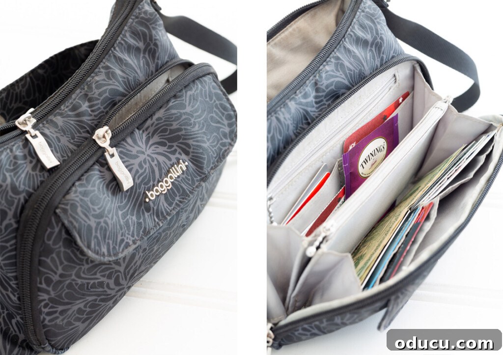 Friday Fun Bag Dump 7 A dual photograph showing the stylish front of the Baggallini Everyday Bag and a detailed look inside its highly functional built-in wallet section.