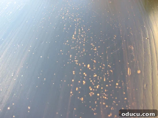 air bubbles showing up in first coat of black stain on table after it dried.