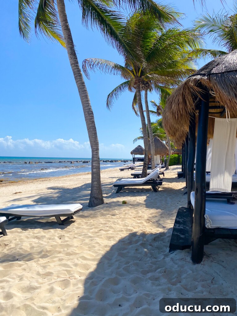 Fashion Finds 3 El Dorado Casitas Royale on the Yucatan coast in Mexico