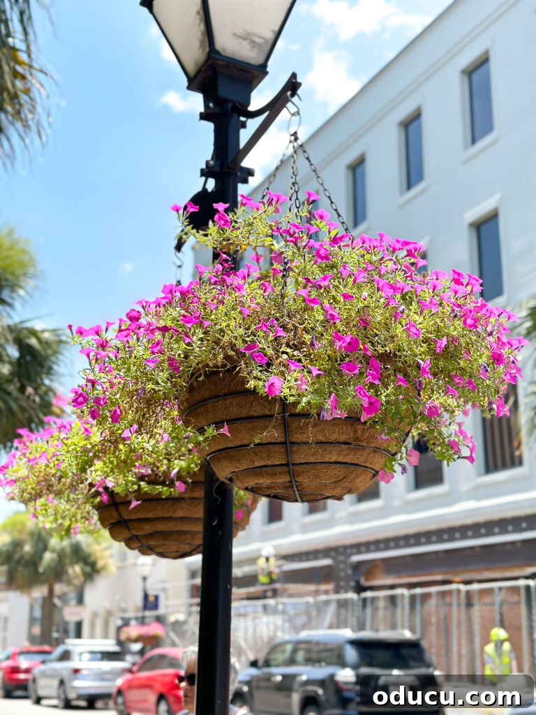 Hanging flower baskets on a light pole on King Street in Charleston, SC