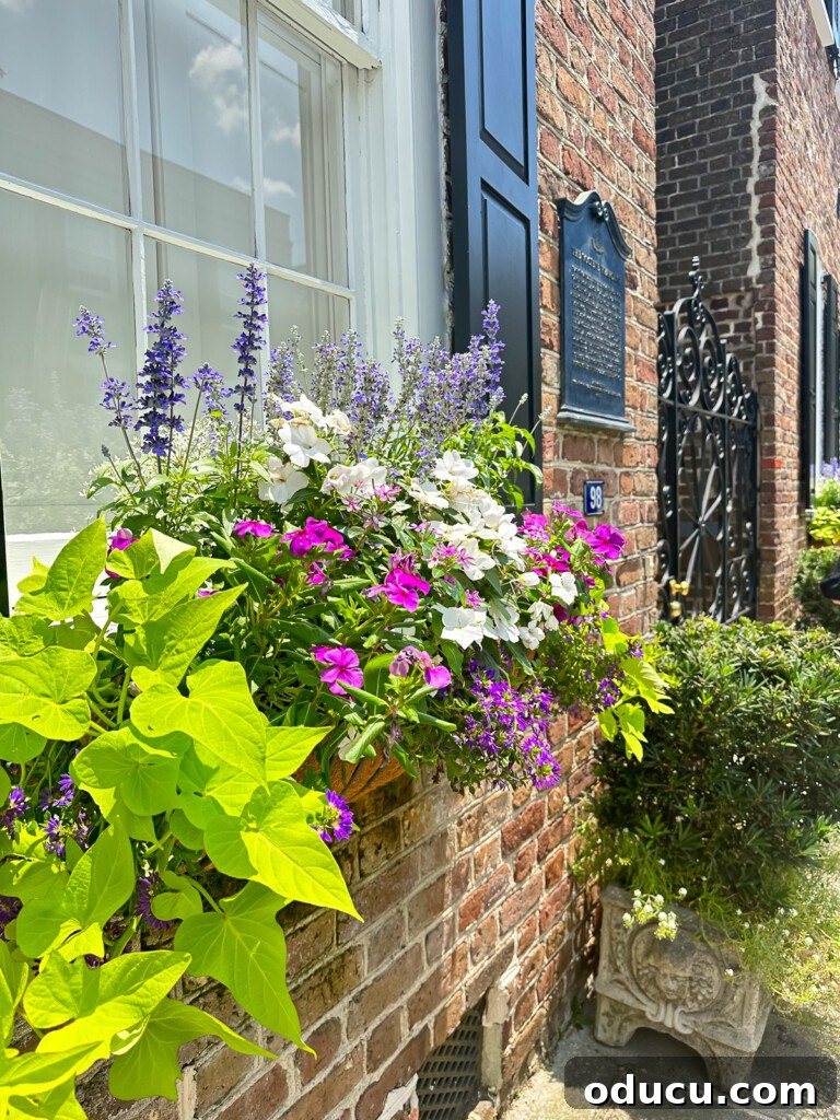 close up of flowers in a window box on a brick townhome in Charleston, SC