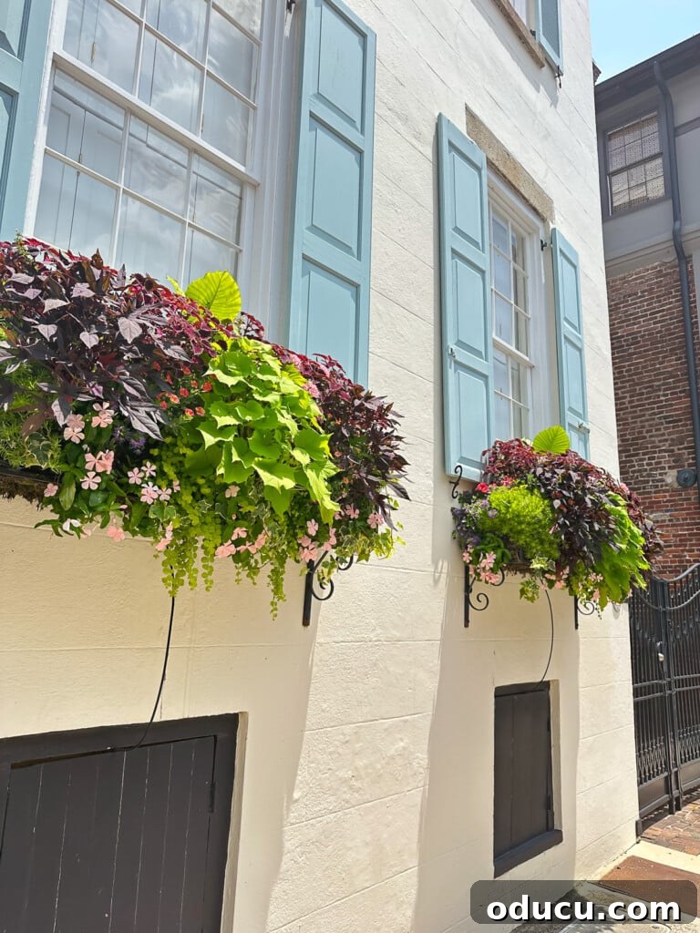 2 flower boxes showcasing windows on a pale yellow house.