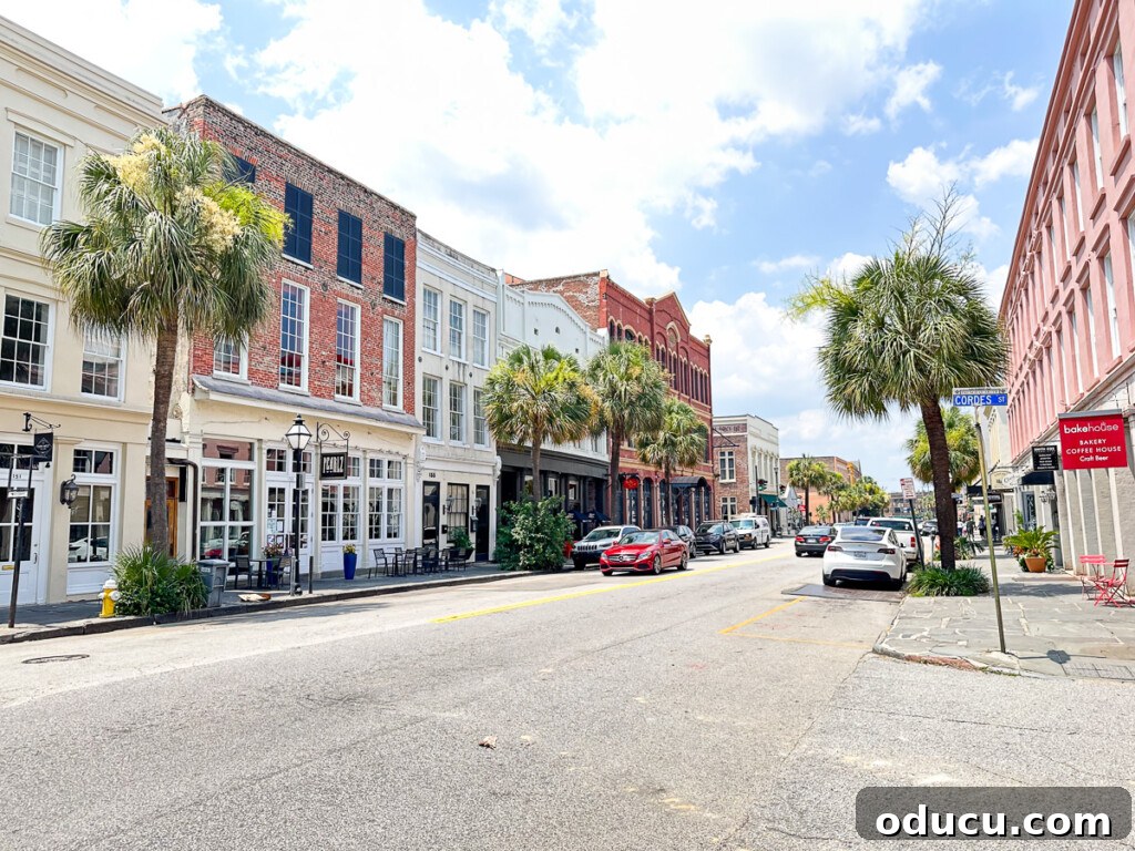 Shopping street in Charleston, SC