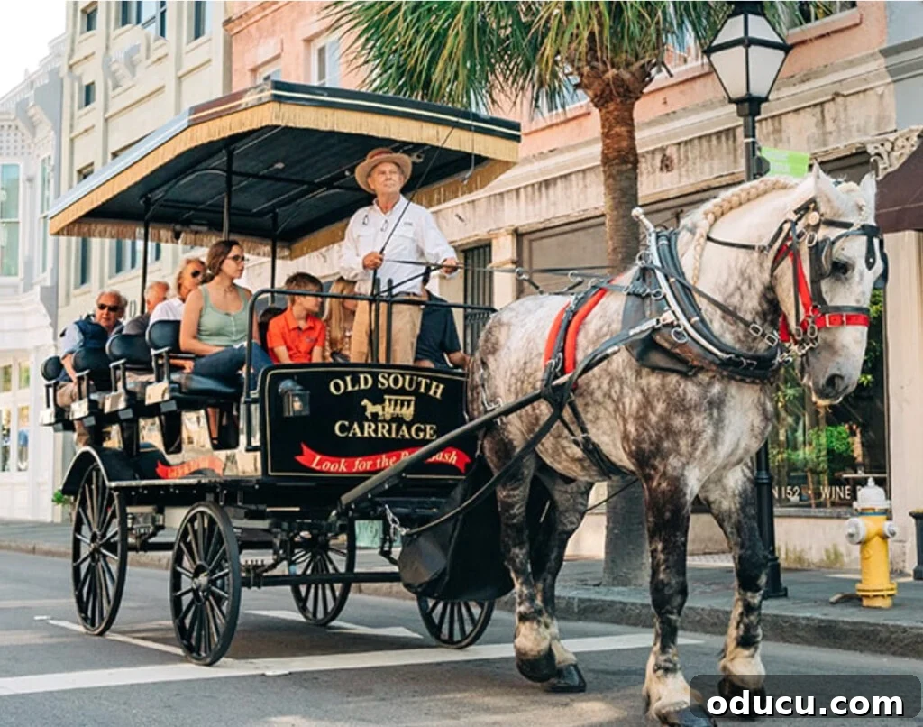 Charleston,-SC-Carriage-tour