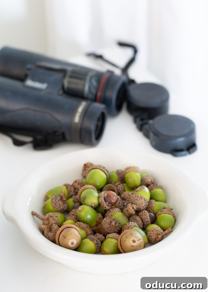 Creating a Cozy Fall Living Room Sanctuary 13 Green acorns on white bowl with a binoculars behind it on a white sideboard.