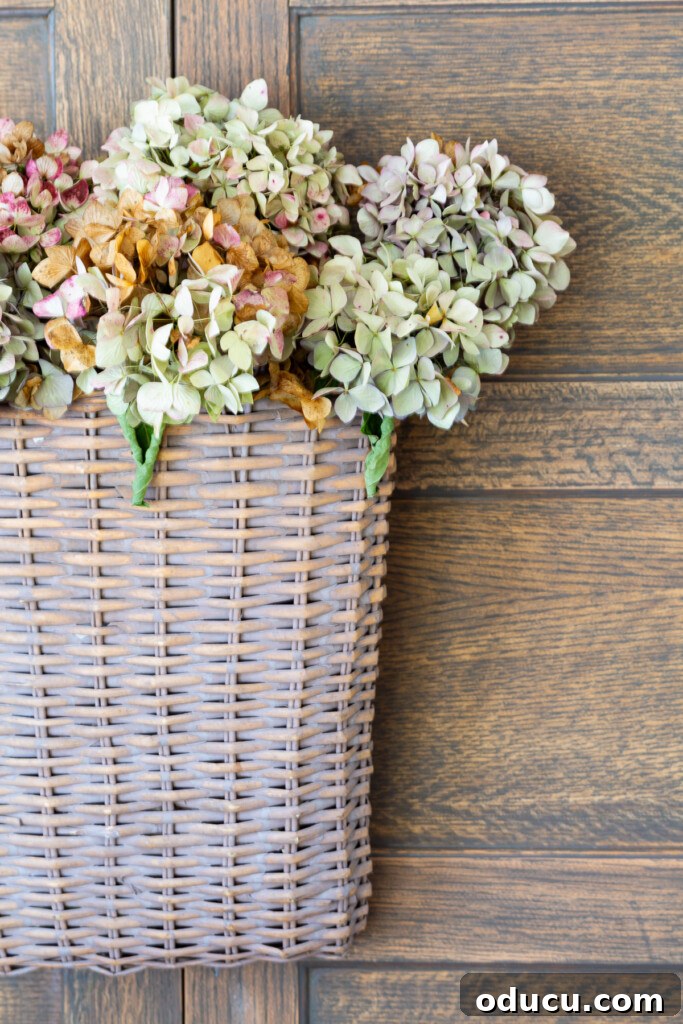 Creating a Cozy Fall Living Room Sanctuary 18 Close up of a hanging wall basket with dried hydrangeas.