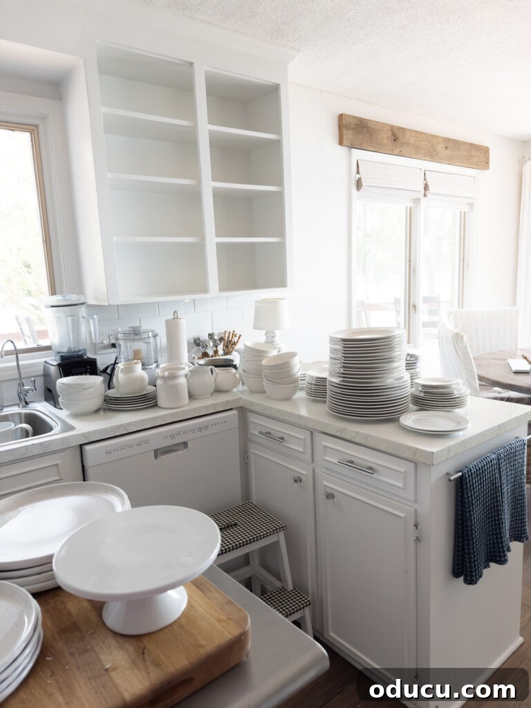 Modern Kitchen Renovation Butler Pantry and Hidden Murphy Door 4 decluttering kitchen