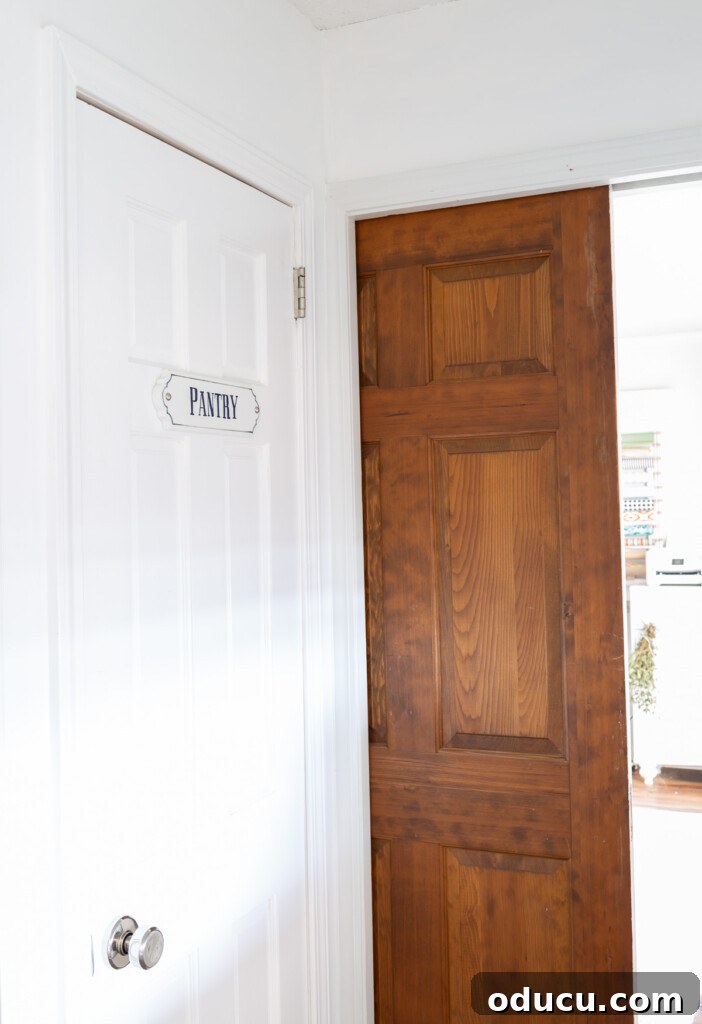Modern Kitchen Renovation Butler Pantry and Hidden Murphy Door 6 Wood pocket door in the entrance to storage Butler's pantry space.