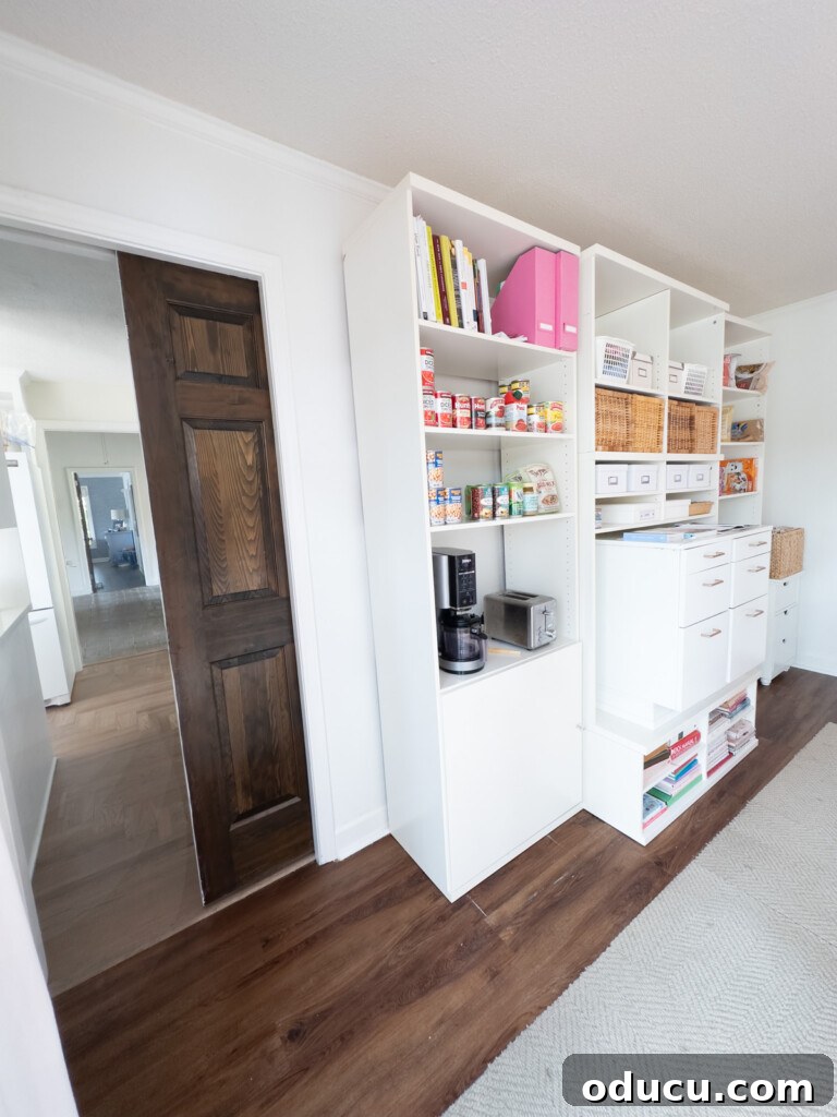 Modern Kitchen Renovation Butler Pantry and Hidden Murphy Door 9 Pocket door in doorway of a room used for kitchen storage and a DIY decorator studio.