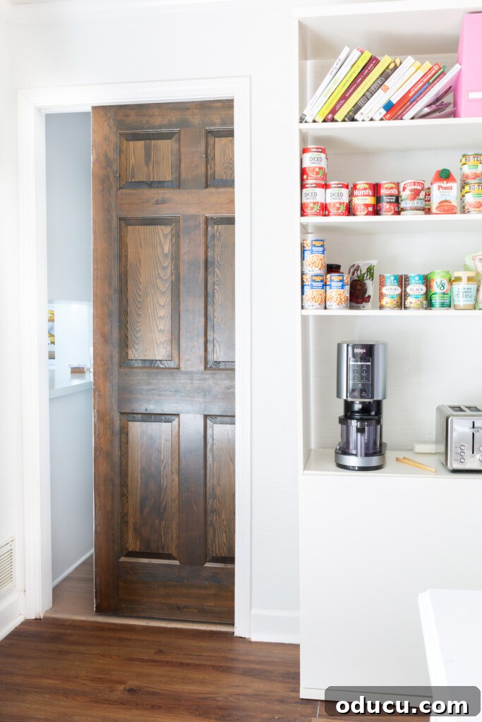 Modern Kitchen Renovation Butler Pantry and Hidden Murphy Door 10 Looking at a Pocket door from inside the room being changed to a kitchen storage area.