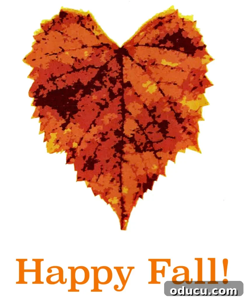 Wardrobe Recon 161 2 Heart-shaped leaf symbolizing the arrival of autumn and the cozy season