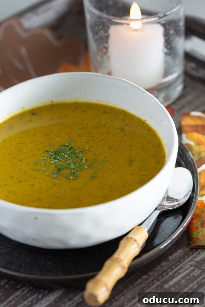 Secretly Delicious: The Healthy Vegetable Soup You Won't Believe 3 A close-up of a bowl of creamy low-sodium vegetable soup, garnished with fresh dill.