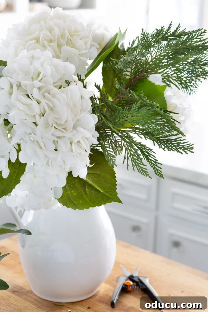 Evergreen greenery from the yard and winter white hydrangeas being arranged in a tall white pitcher, creating a beautiful winter white floral arrangement.