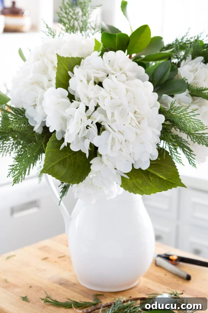 The final step in creating a winter white floral arrangement, trimming and adjusting evergreen greenery and hydrangeas in a tall white pitcher.