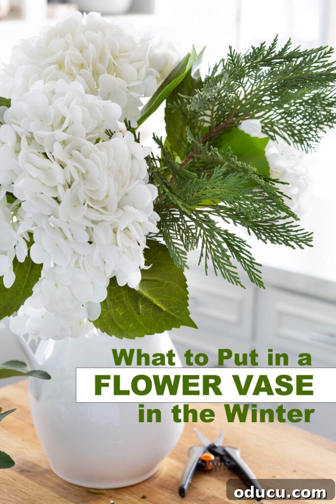 White hydrangeas and cedar in a white pitcher. Text overlay says what to put in a flower vase in the winter, featuring a beautiful winter white floral arrangement idea.