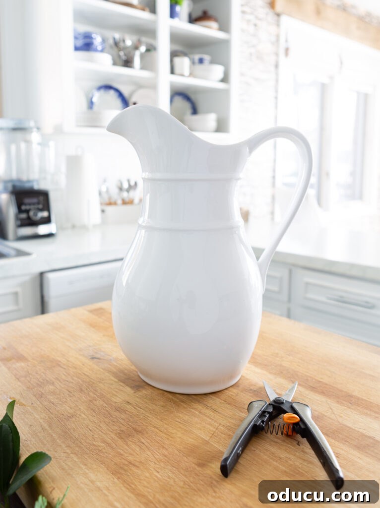 A tall white ceramic pitcher and gardening snips on a kitchen counter, ready for creating a winter white floral arrangement.