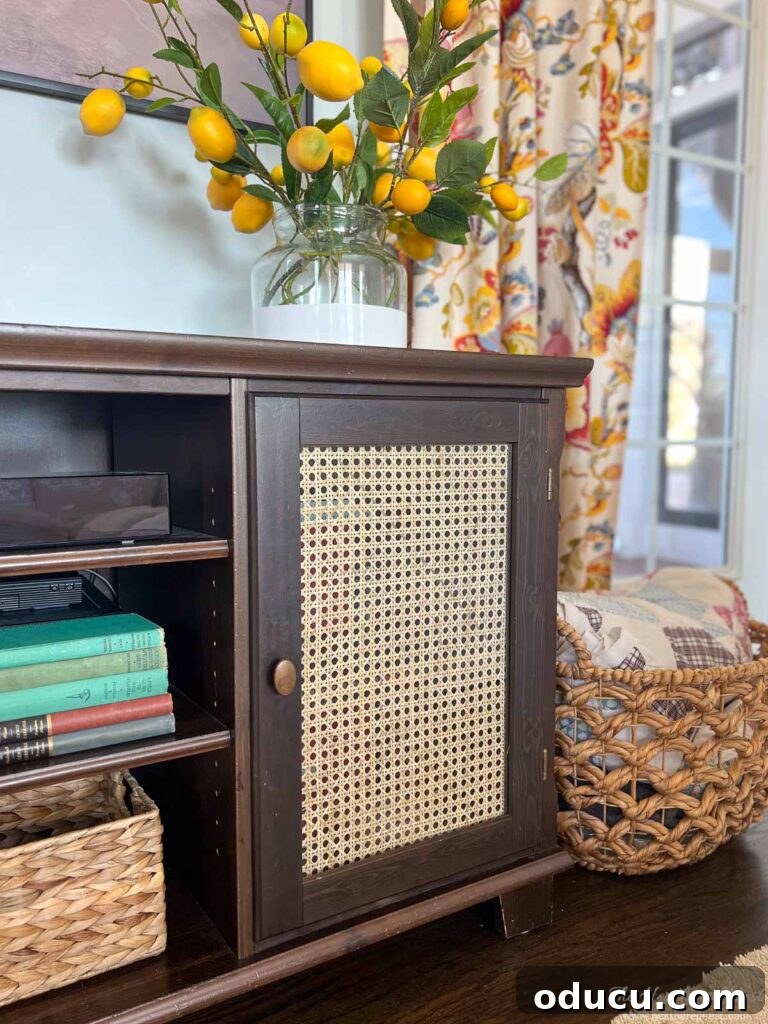 Aesthetic Explorer 2 DIY cane cabinet door makeover in a living room.