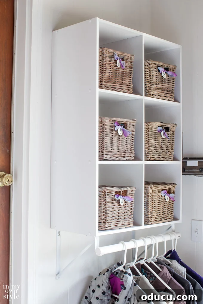 Decorate Wisely Reap the Rewards 4 ClosetMaid Cubeical organizer hack