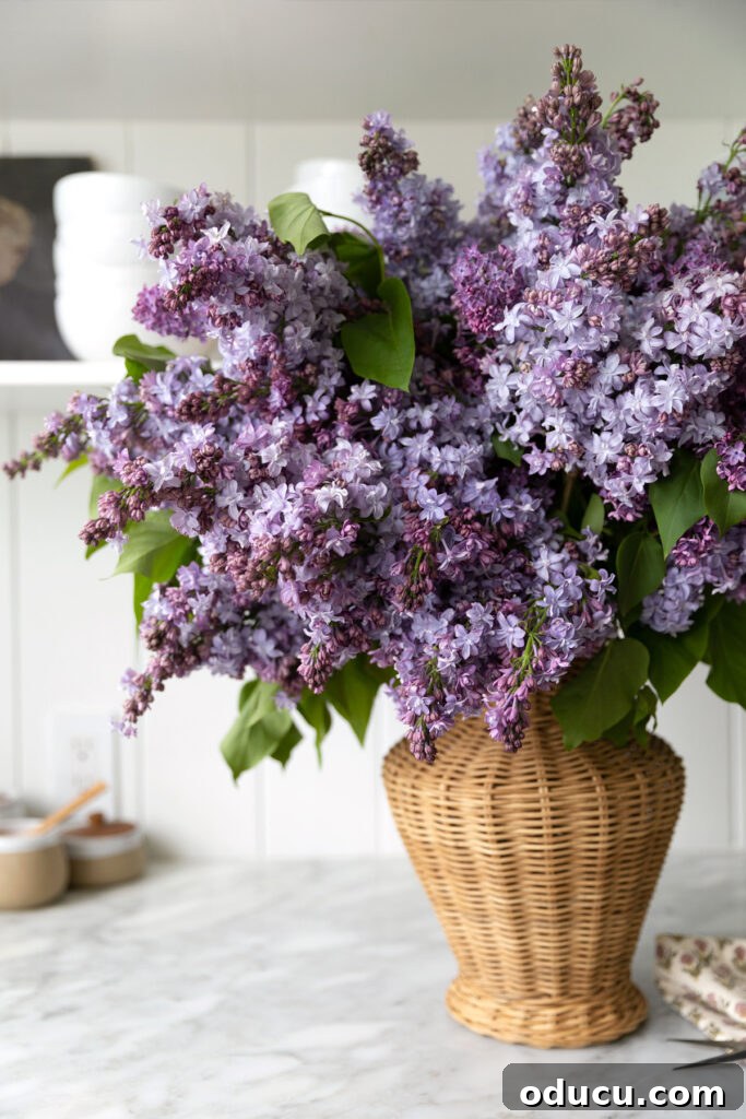 The Style Compendium 192 2 Lilacs in a wicker vase on a marble kitchen counter.