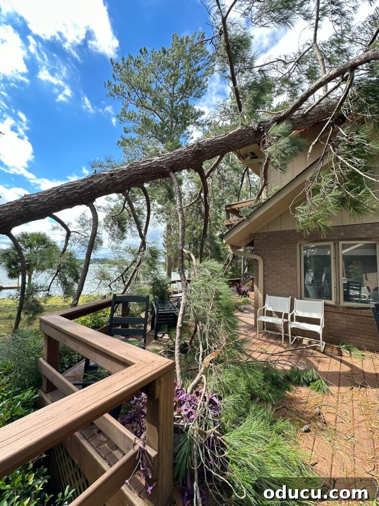 Helene's Extreme Home Makeover: See My House Now 3 Exterior view of house damage after a massive tree falls onto the roof, revealing the scale of impact.
