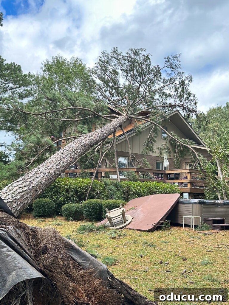 Helene's Extreme Home Makeover: See My House Now 4 The fallen tree and debris blocking the road and power lines after Hurricane Helene, causing widespread power outages.