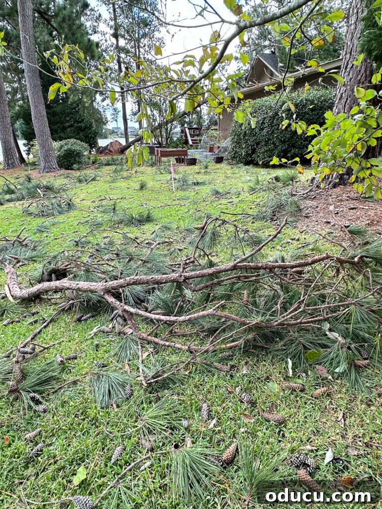Helene's Extreme Home Makeover: See My House Now 5 Extensive yard debris and fallen branches scattered across the property after Hurricane Helene, highlighting the widespread cleanup effort.