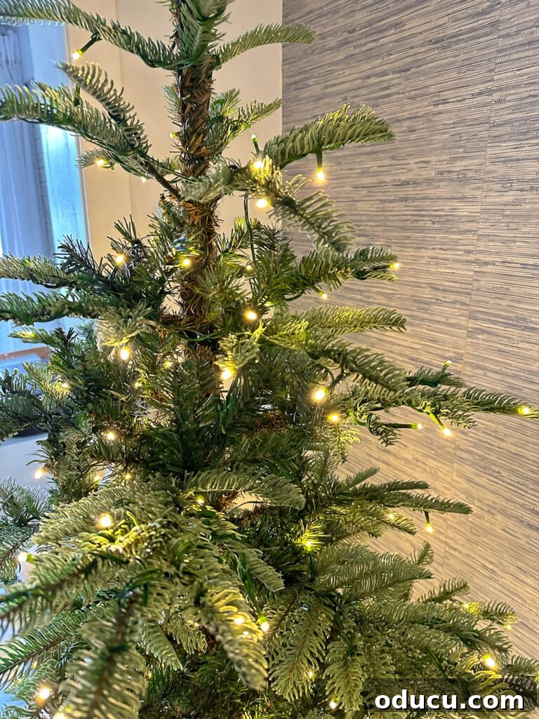The King of My Christmas 9 King of Christmas 7' King Noble Fir Artificial Christmas Tree with 500 Warm White LED Lights