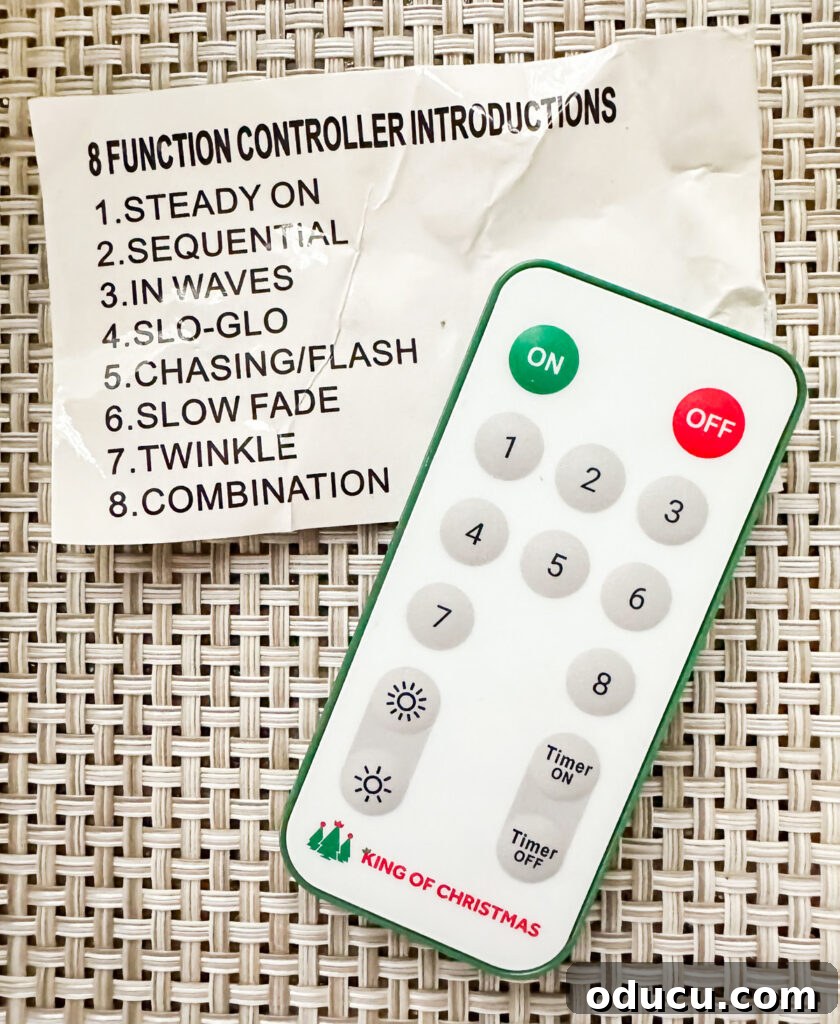 The King of My Christmas 10 King of Christmas 8 function controller instructions and remote.