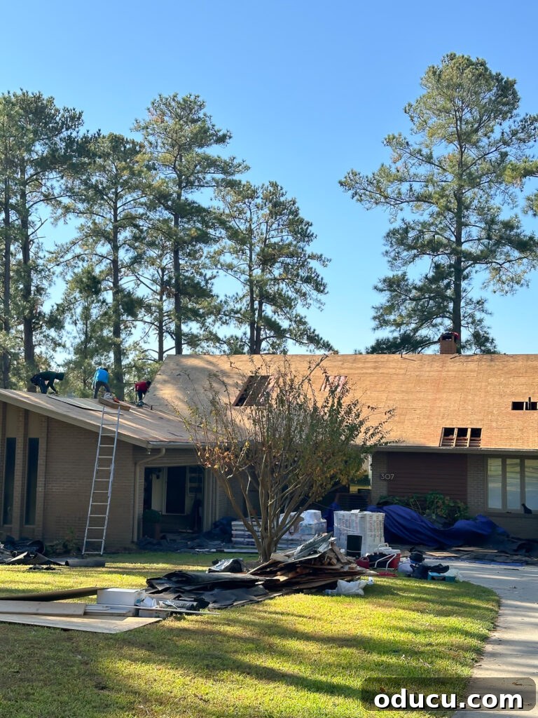 Adventures in Life and Home 15 A house with a newly repaired roof, surrounded by numerous tall pine trees in the neighborhood.