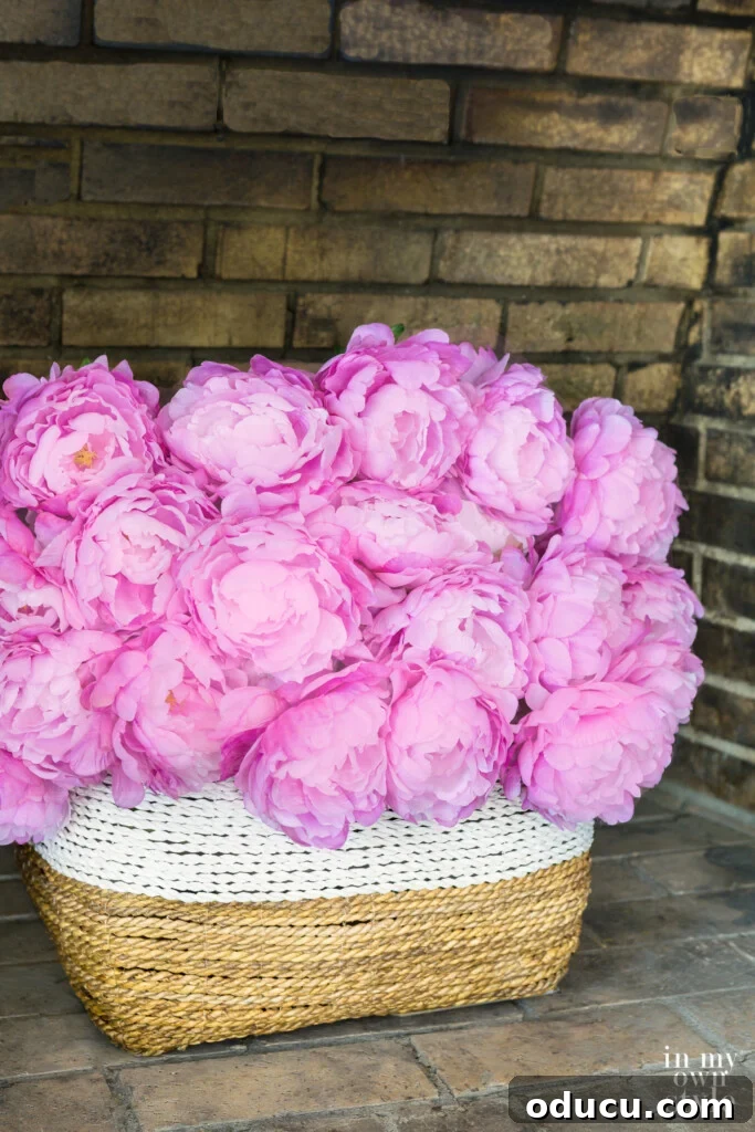 A large white and natural color basket in empty fireplace filled with pink peonies.