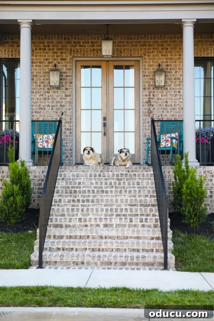 two dogs sitting on front porch of brick home